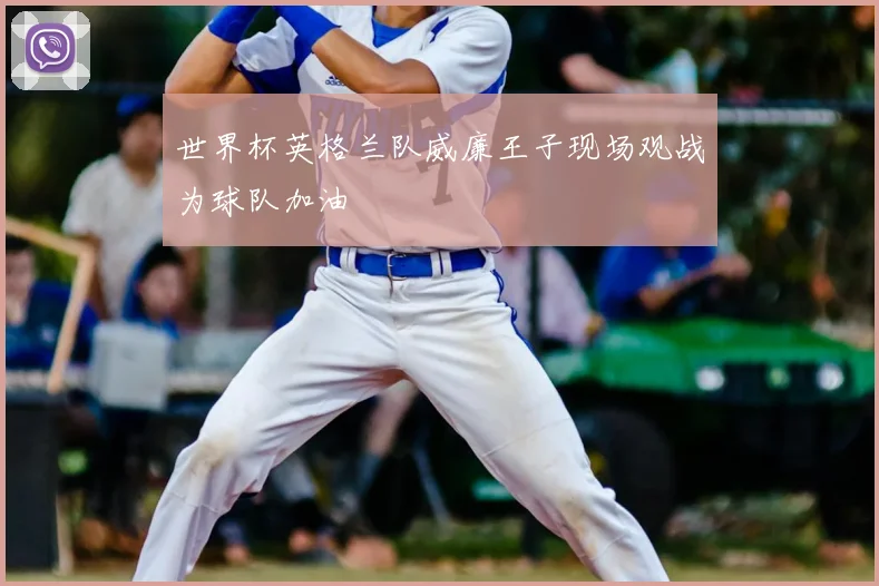 世界杯英格兰队威廉王子现场观战为球队加油
