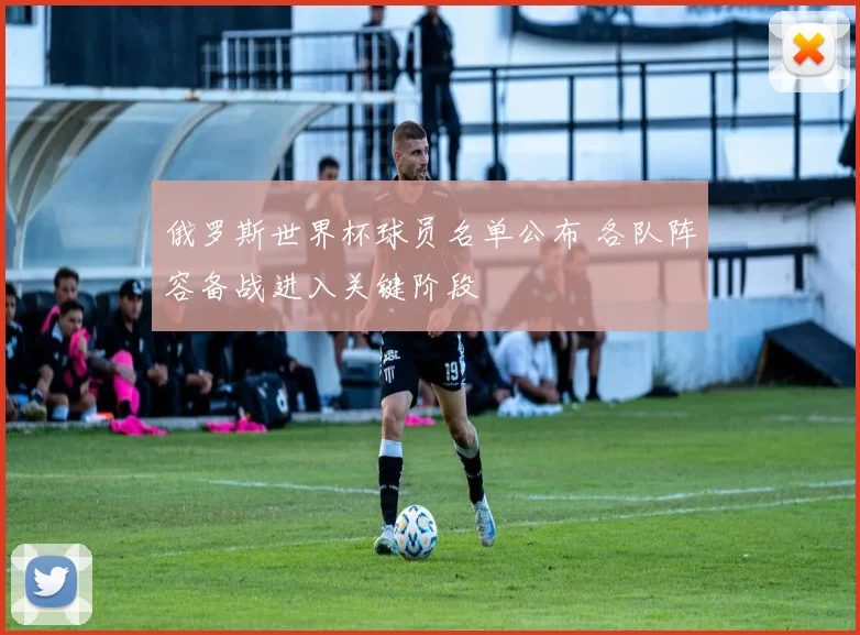 俄罗斯世界杯球员名单公布 各队阵容备战进入关键阶段