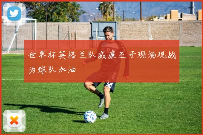 世界杯英格兰队威廉王子现场观战为球队加油