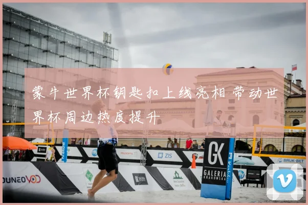 蒙牛世界杯钥匙扣上线亮相 带动世界杯周边热度提升