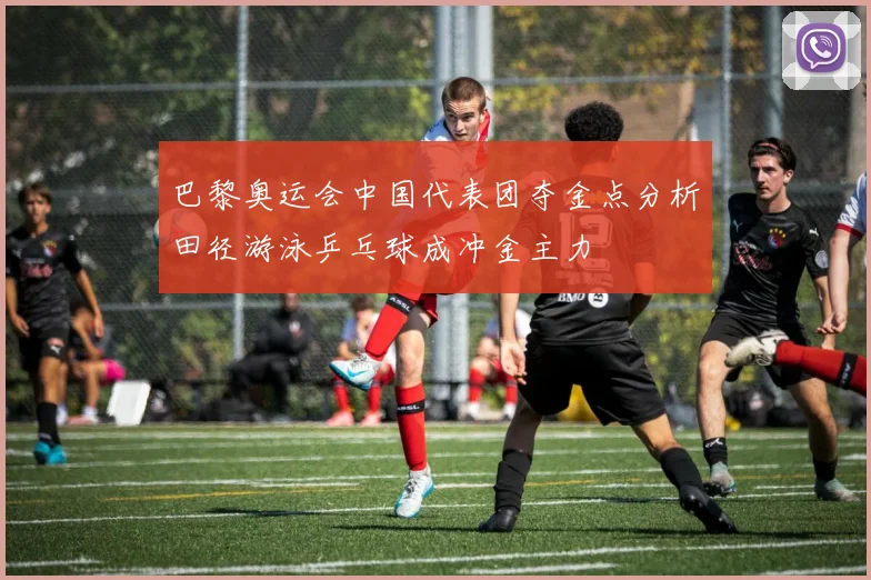 巴黎奥运会中国代表团夺金点分析田径游泳乒乓球成冲金主力