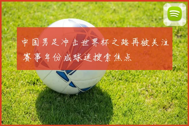 中国男足冲击世界杯之路再被关注 赛事年份成球迷搜索焦点